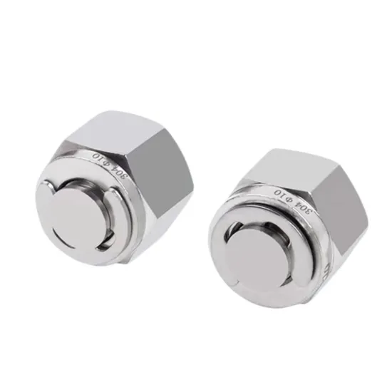 Stainless Steel Compression Plug, Used for 1/4 Pipe Assembly Pipe End Double Ring Pipe Plug