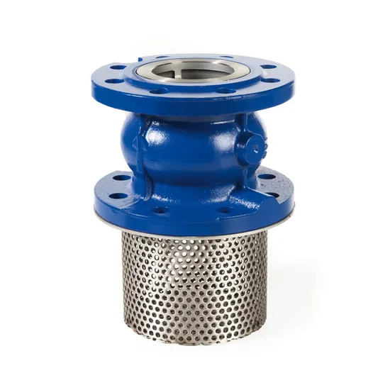 China DN100 Pn16 Ductile Cast Iron Ggg50 Di Vertical Type Flanged Foot Check Valve Manufacturer