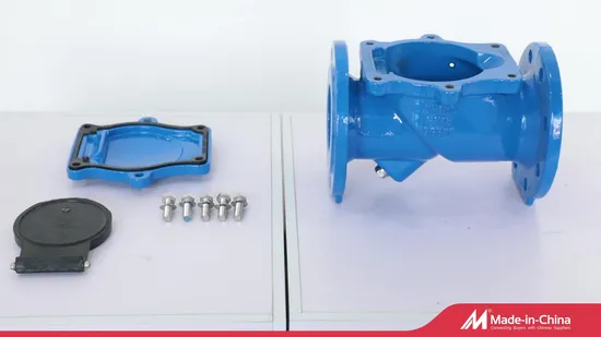 DIN F6 DN100 EPDM Rubber Flap Check Valve Non Return Check Valve Flanged Btval