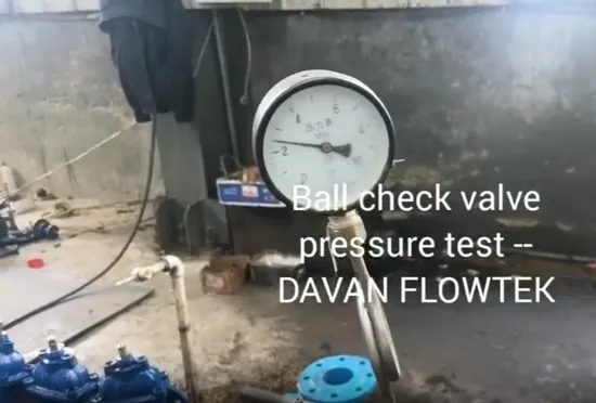 Cast Ductile Iron Flanged Dual Plate Check Valve (Flap Swing Ball Type)