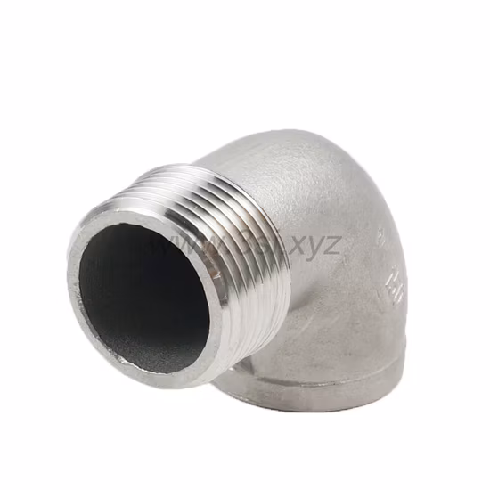Stainless Steel Pipe Fittings Thread Round End Caps (YZF