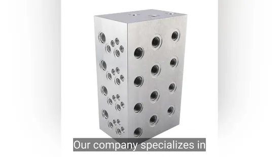 OEM Customized Hydraulic Valve Hydraulic Balance Valve Manifold Block 