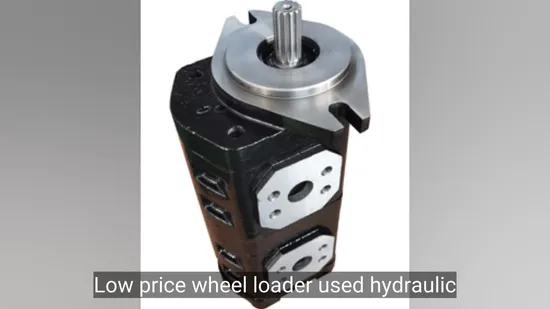 ODM Forklift Hydraulic Gear Oil Pump for Hydraulic System 
