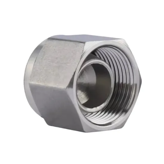 304 Stainless Steel Twin Ferrule Plug, Joint Pipe Plug, Connecting Pipe Plug 