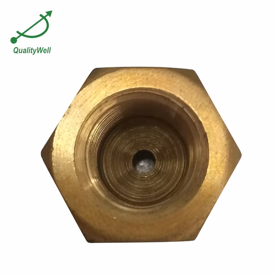 Pressure Gauge Brass Savers Snubber for Sale