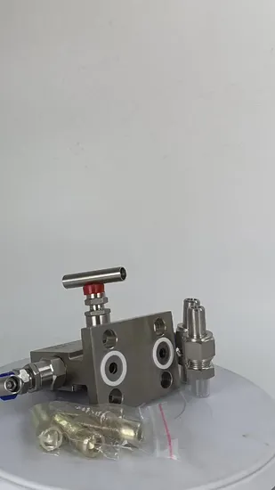 3 5 Way Gas Drain Valve Manifold Price 