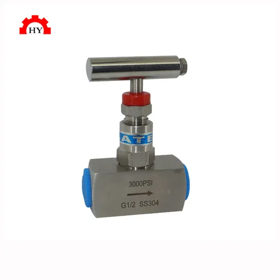 Stainless Steel 6000 Psi Female Thread Needle Valve 