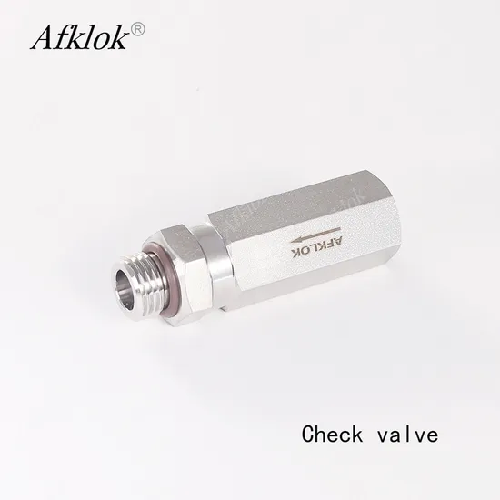 High Quality Afklok 3000psi Spring Loaded SS316 Check Valve 