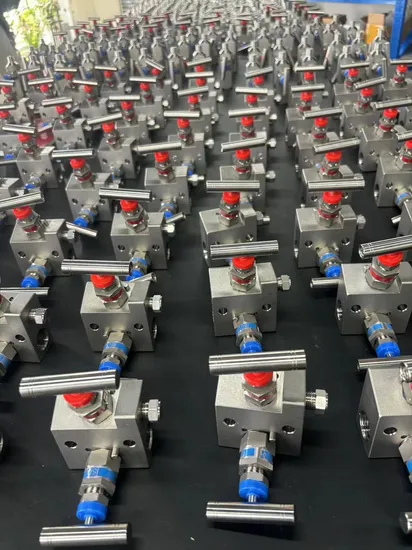 Nailok Stainless Steel SS316 Special Materials 5 Valves Integration Manifolds 6000psi 