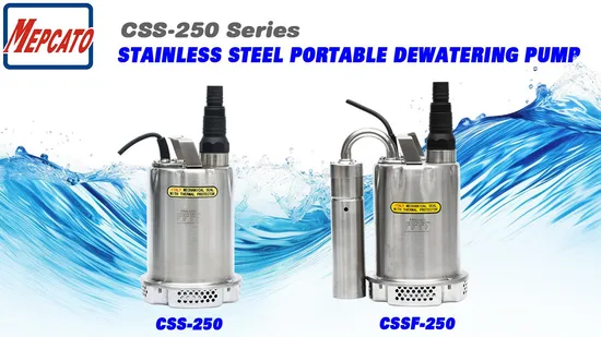 Single Phase Portable Small Garden Pond Tank Clean Water Supply Transfer Electric Submersible Centrifugal Dewatering Automatic Pump with Floater Switch Bomba 